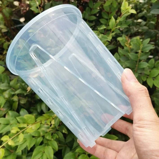 Clear Durable Pots with Many Drainage Holes: 4.5"