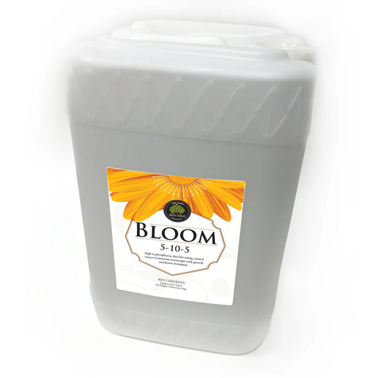 Age Old Liquid Bloom (6G)
