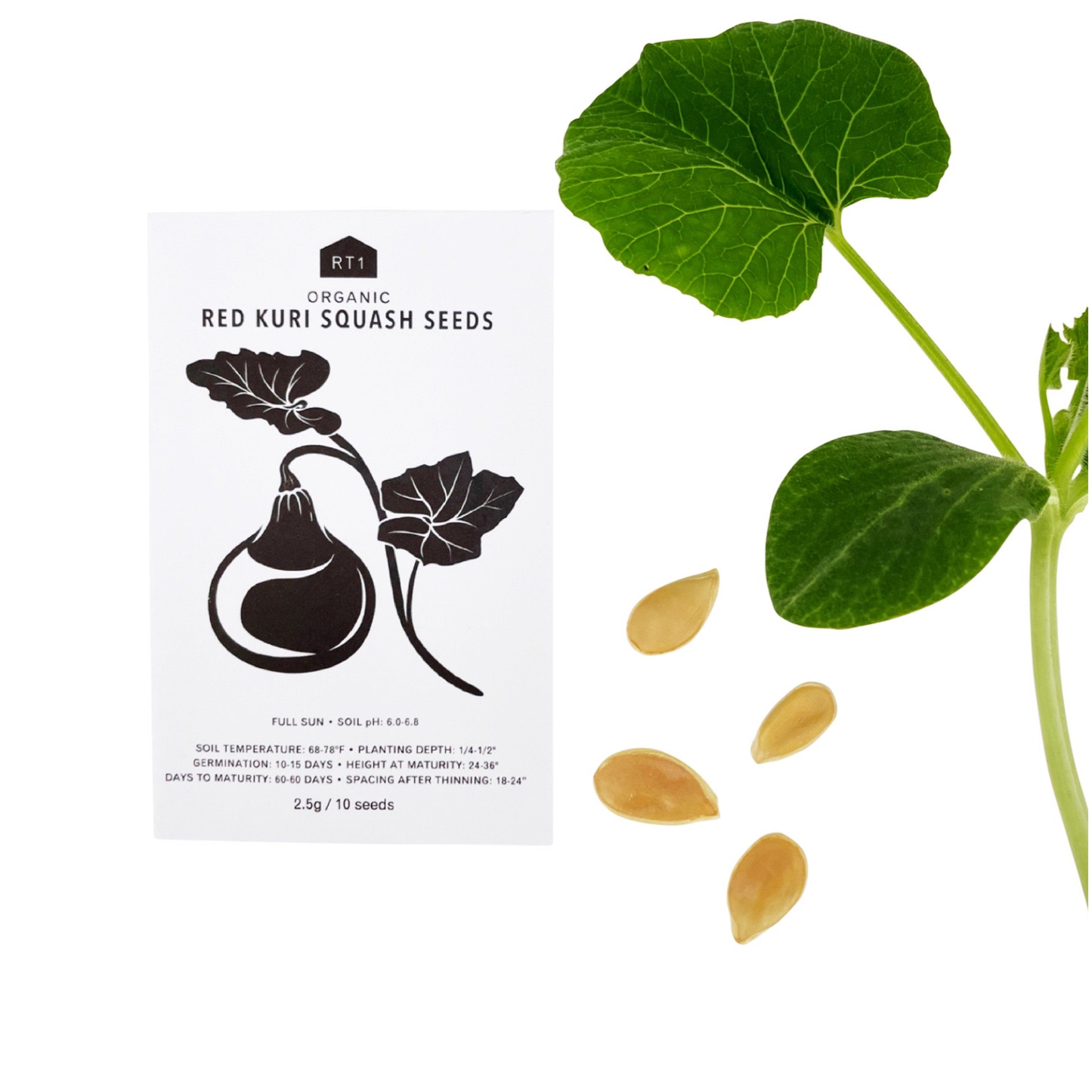 JAPANESE SPRING VEG SET - PACK OF 5