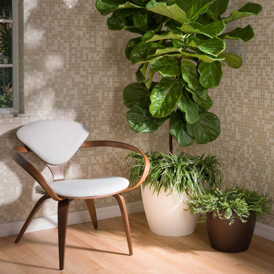Eva Modern Houseplant Pot (No Drain Holes) Pack of 2: White / 11" W