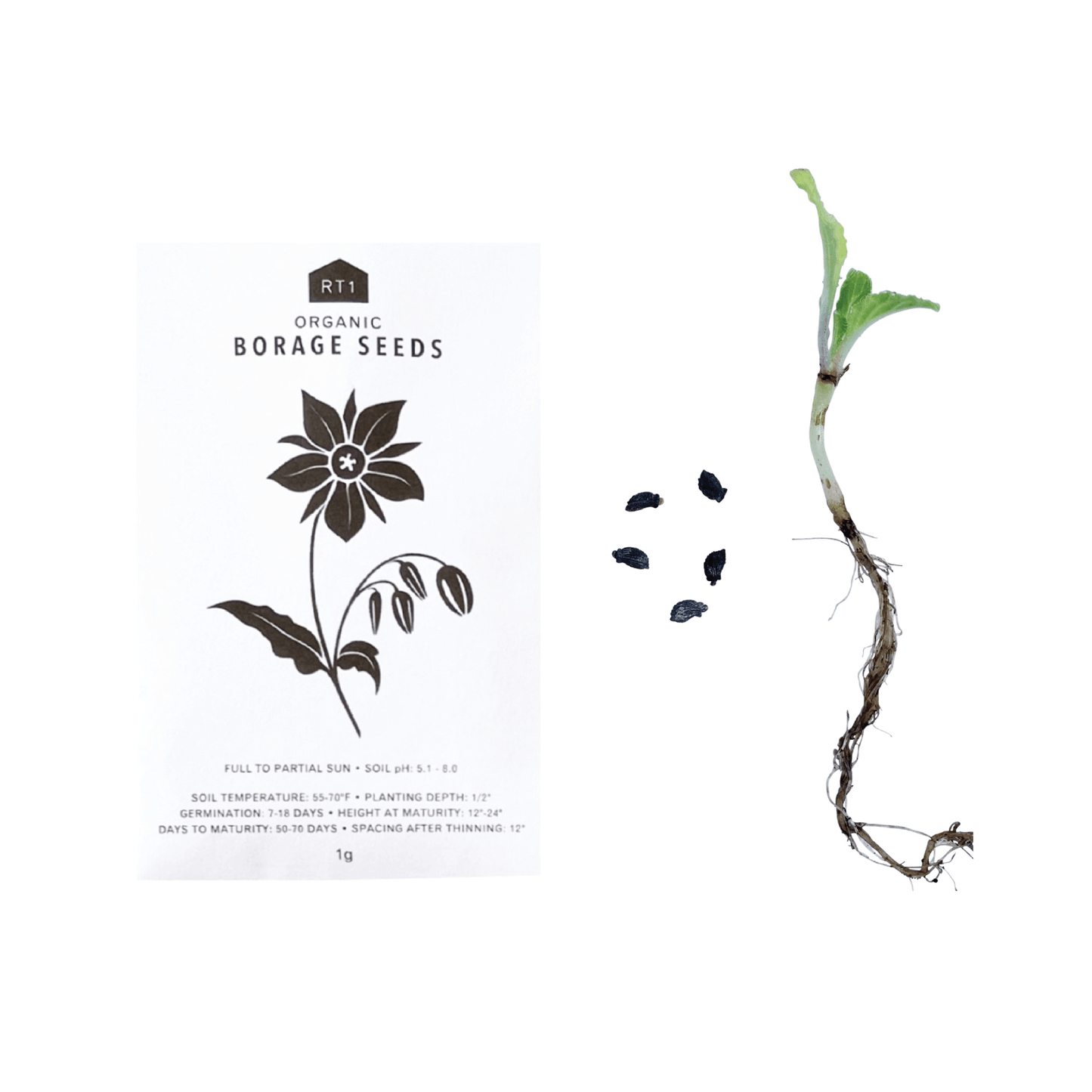 EDIBLE FLOWER SET - PACK OF 5