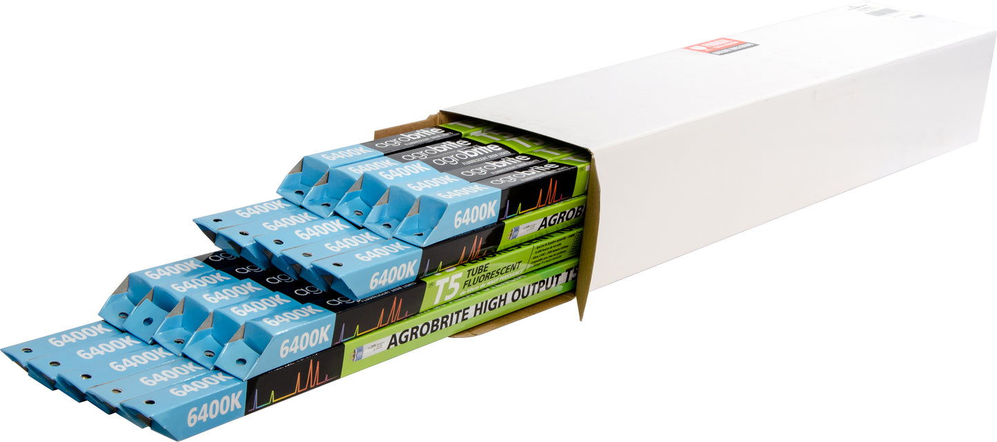 Agrobrite T5 2’ Replacement Bulb 6400K