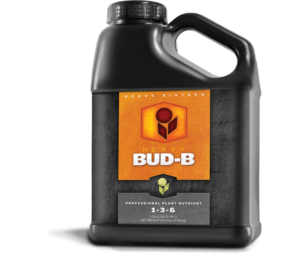 Heavy 16 Bud B (4L)