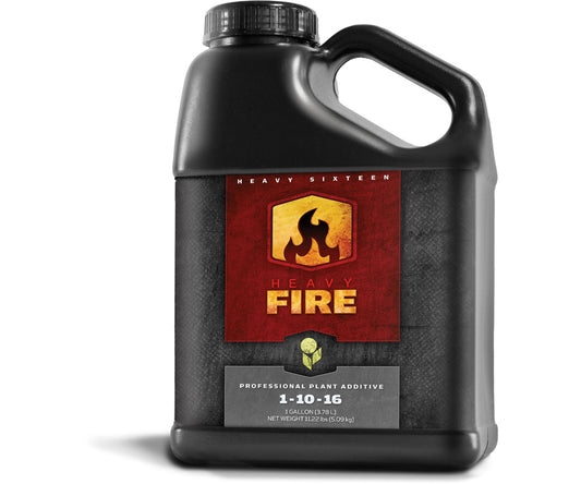 Heavy 16 Fire (4L)
