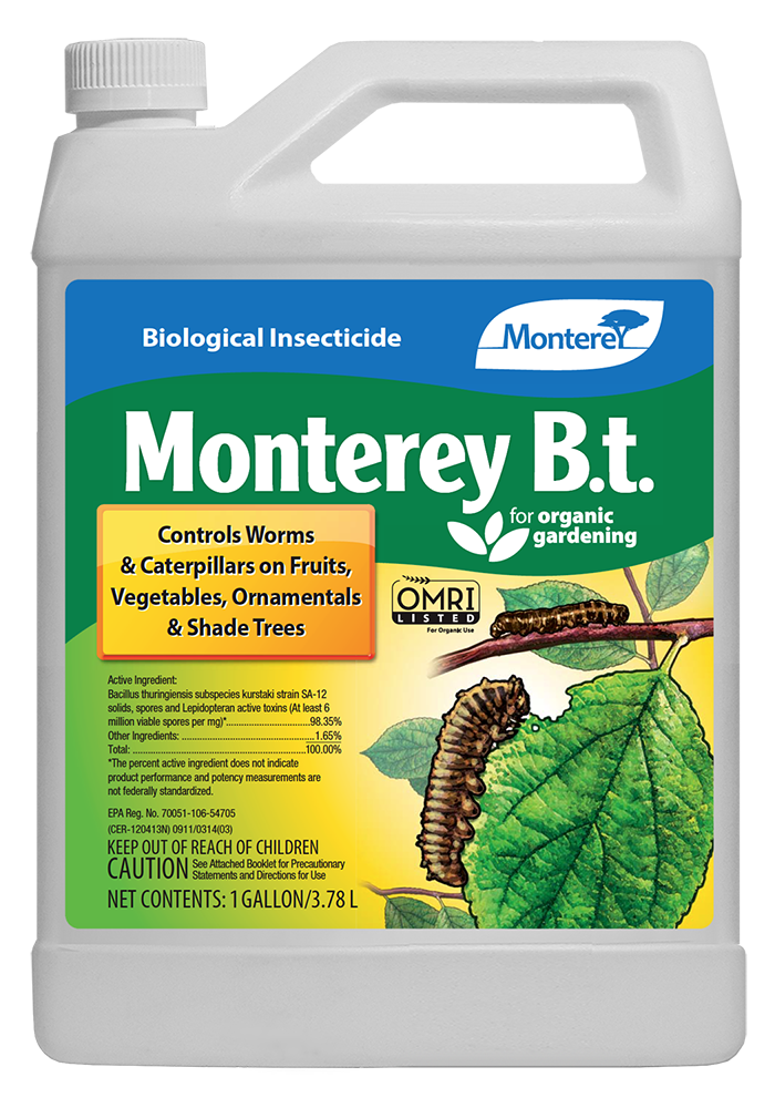 Monterey BT (G)