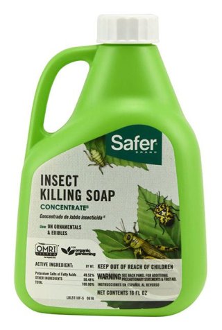 Safer Insect Soap Concentrate (16oz)