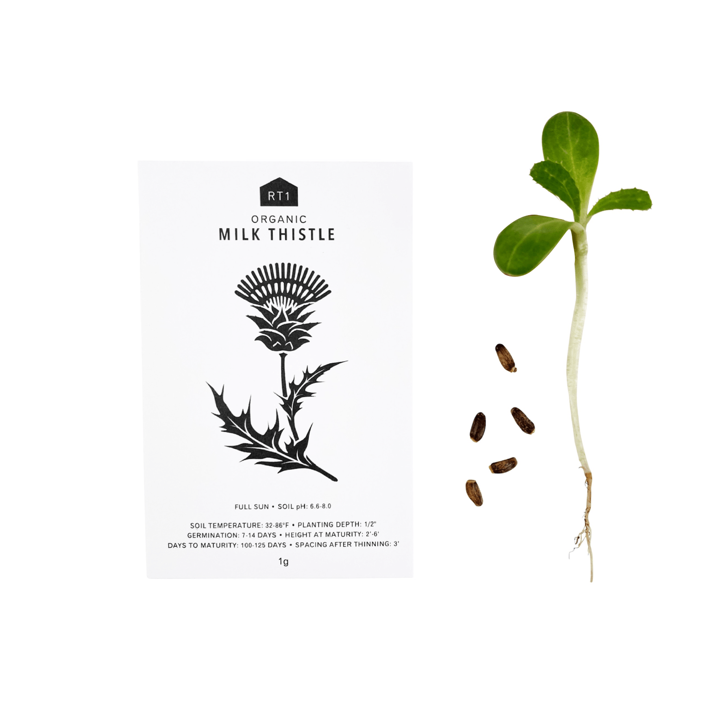 MEDICINAL HERB SET - PACK OF 5