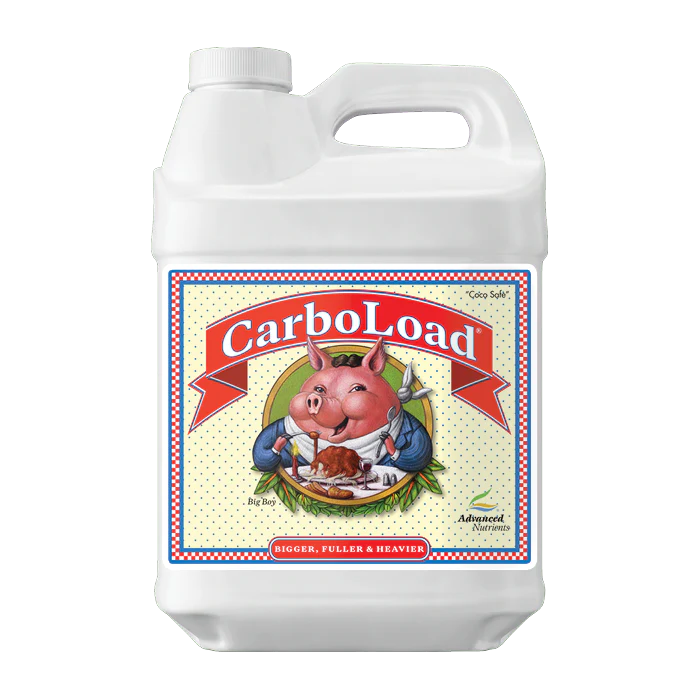 CarboLoad (4L)