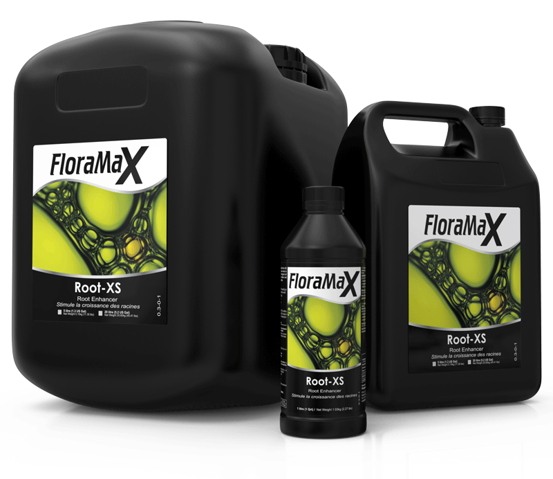 FloraMax Root-XS (1L)