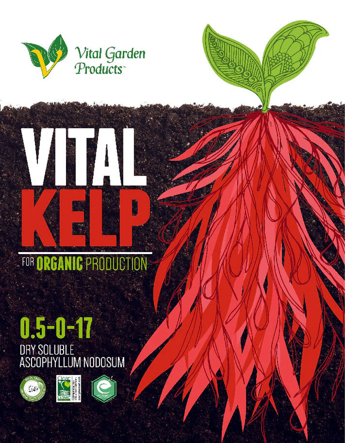 Vital Kelp (5 Lb)
