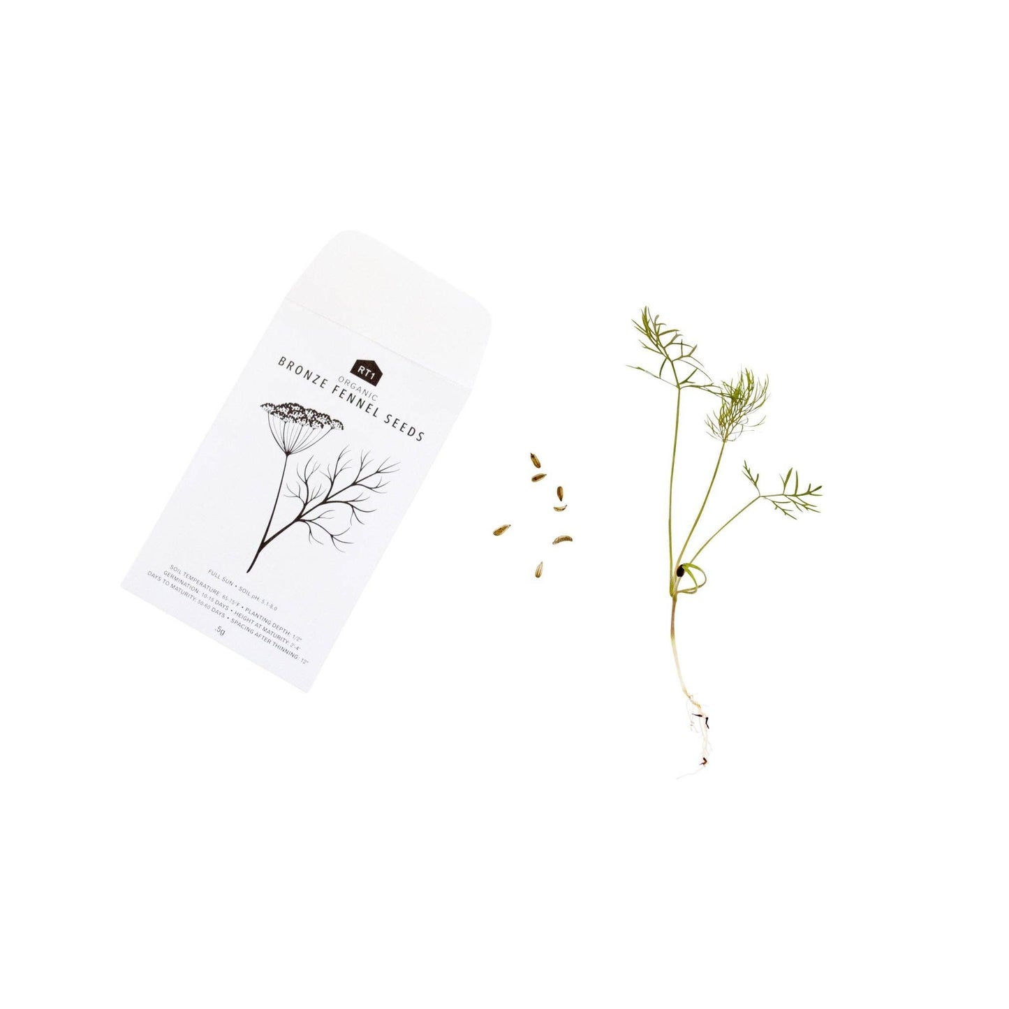 CULINARY HERB II SET - PACK OF 5