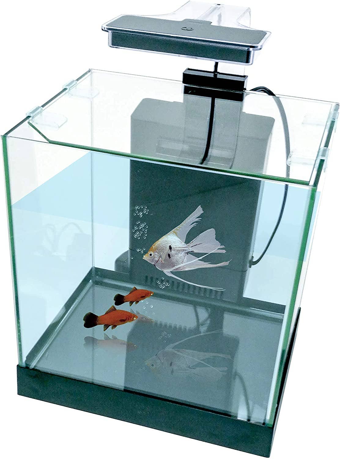 Cascade All-in-One Desktop Aquarium Kit – 3.2 Gallons