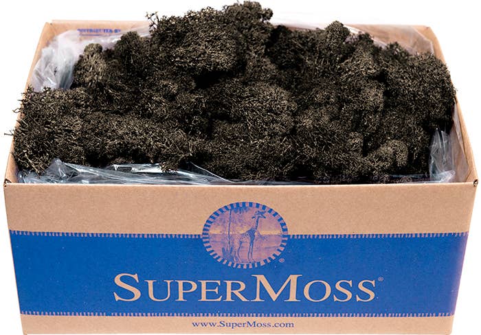 Reindeer Moss Preserved 3lb Bulk Box: Apple