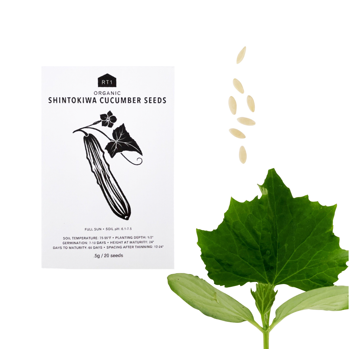 JAPANESE SPRING VEG SET - PACK OF 5