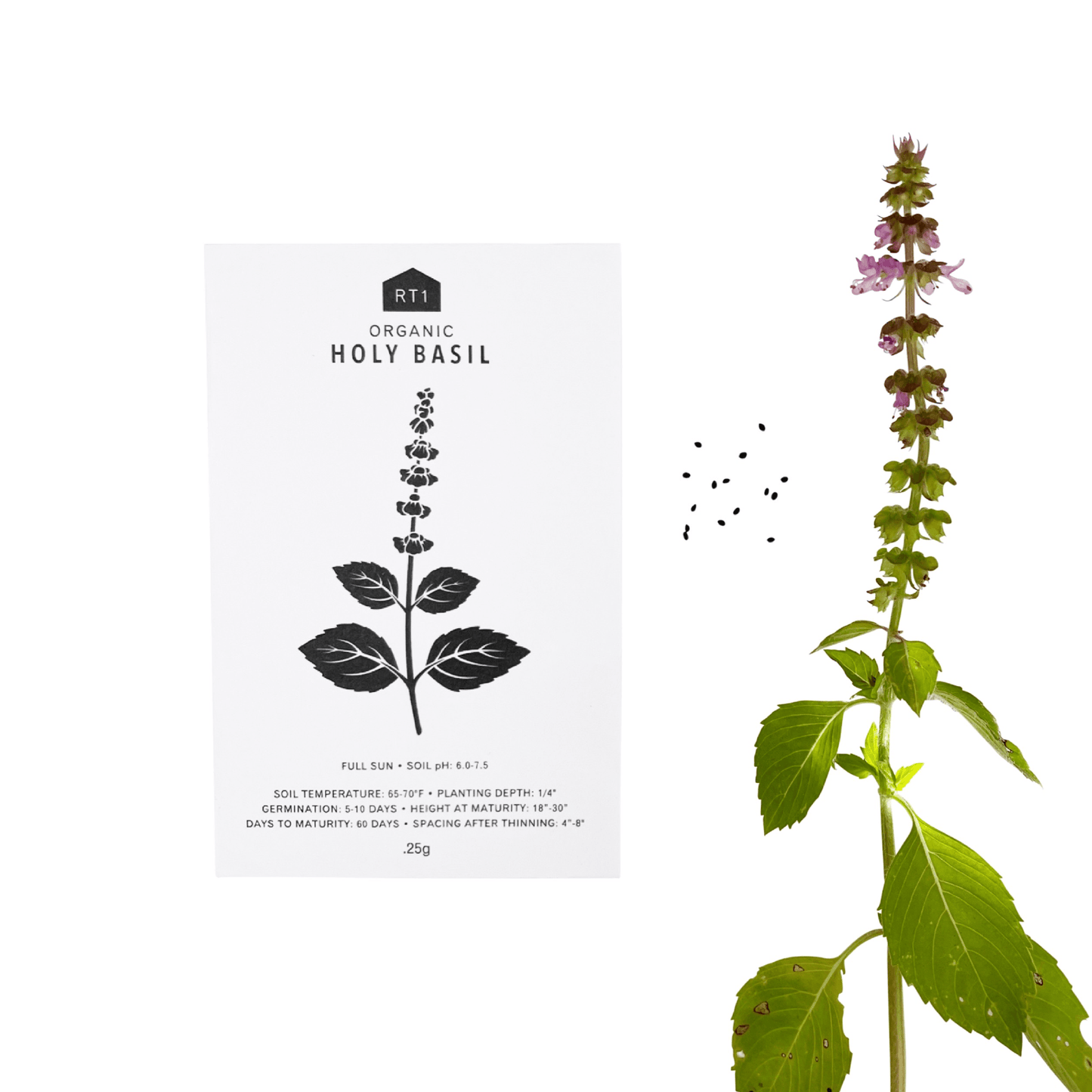 MEDICINAL HERB SET - PACK OF 5
