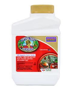 Bonide Captain Jack's Deadbug Brew Concentrate (Pt)