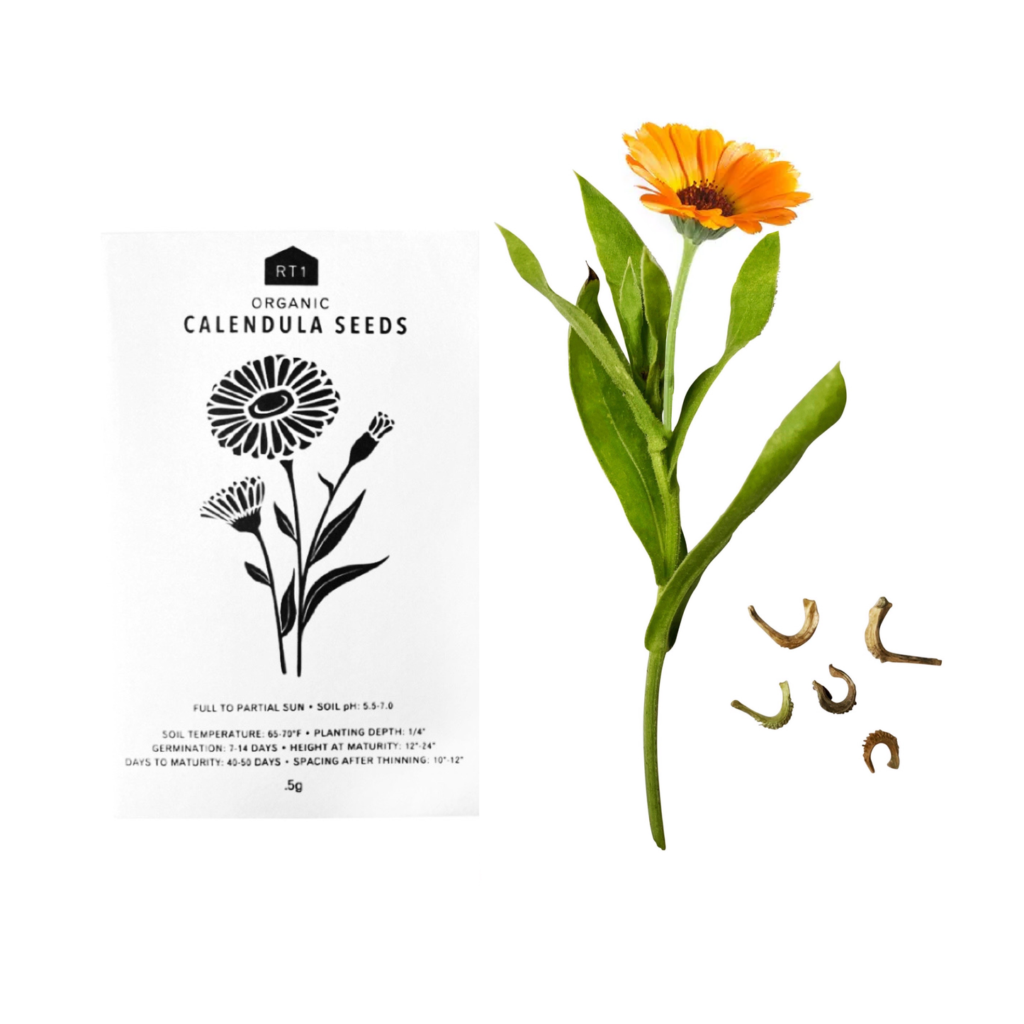 TEA HERB SEEDS - PACK OF 5