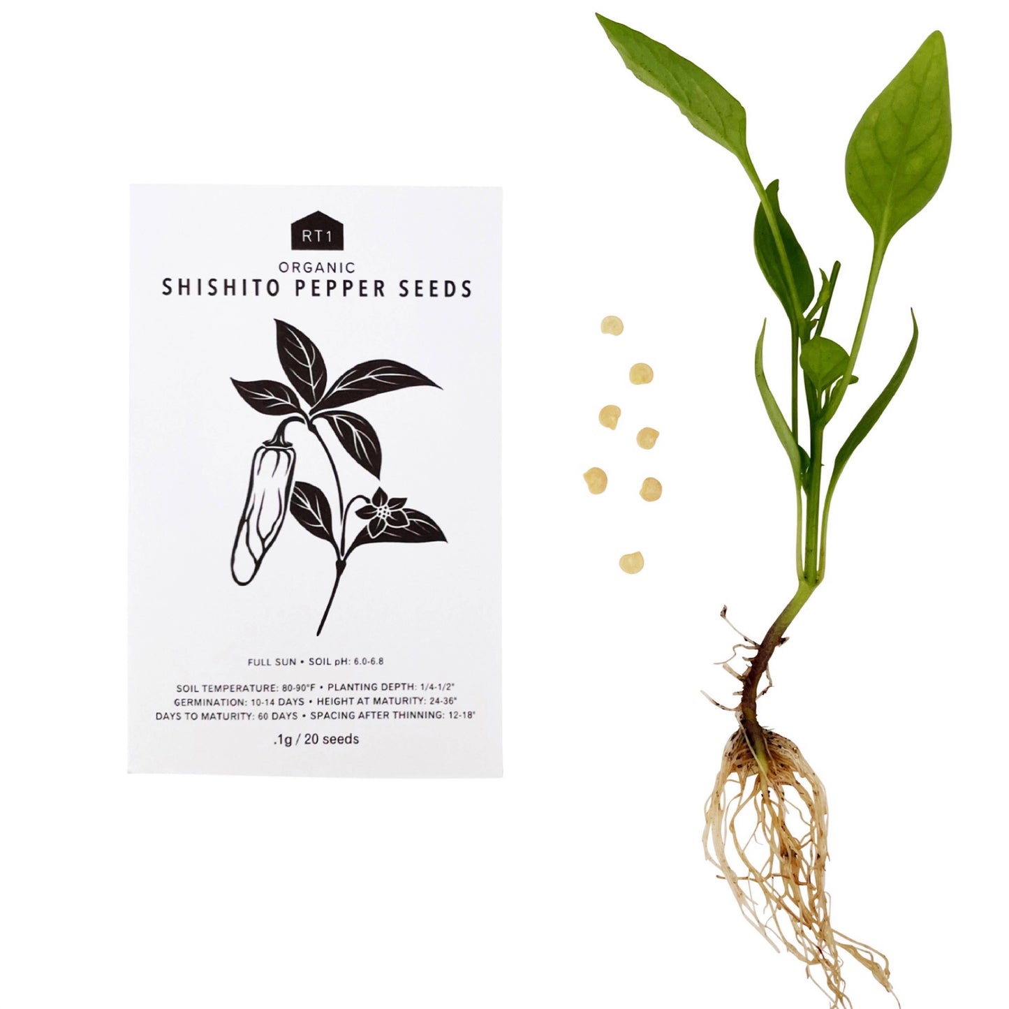 JAPANESE SPRING VEG SET - PACK OF 5