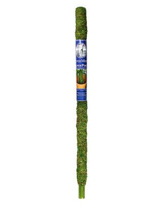 SuperMoss Green Moss Pole 36"