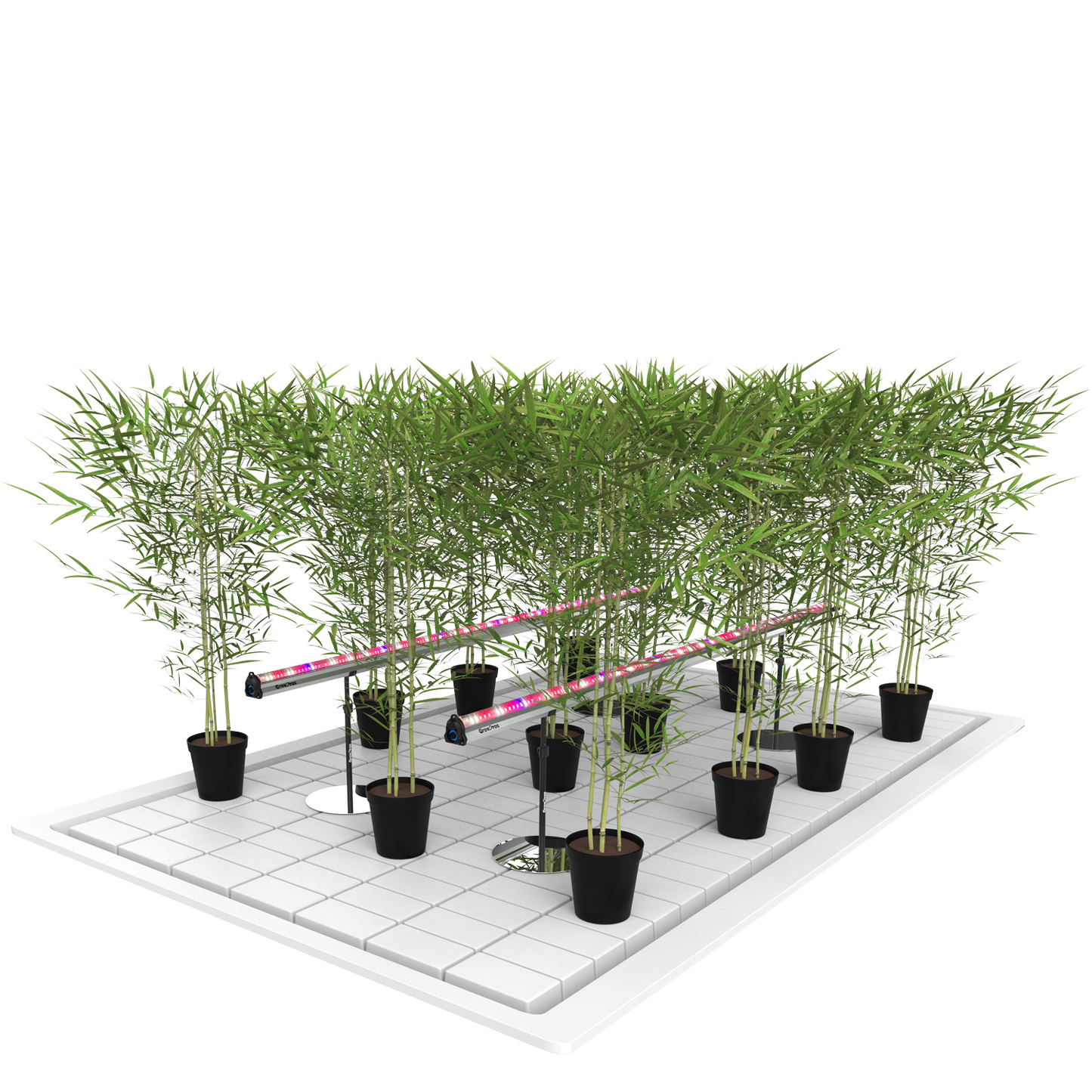 Grow Pros Under Canopy Light- 80% Red Spectrum 8'