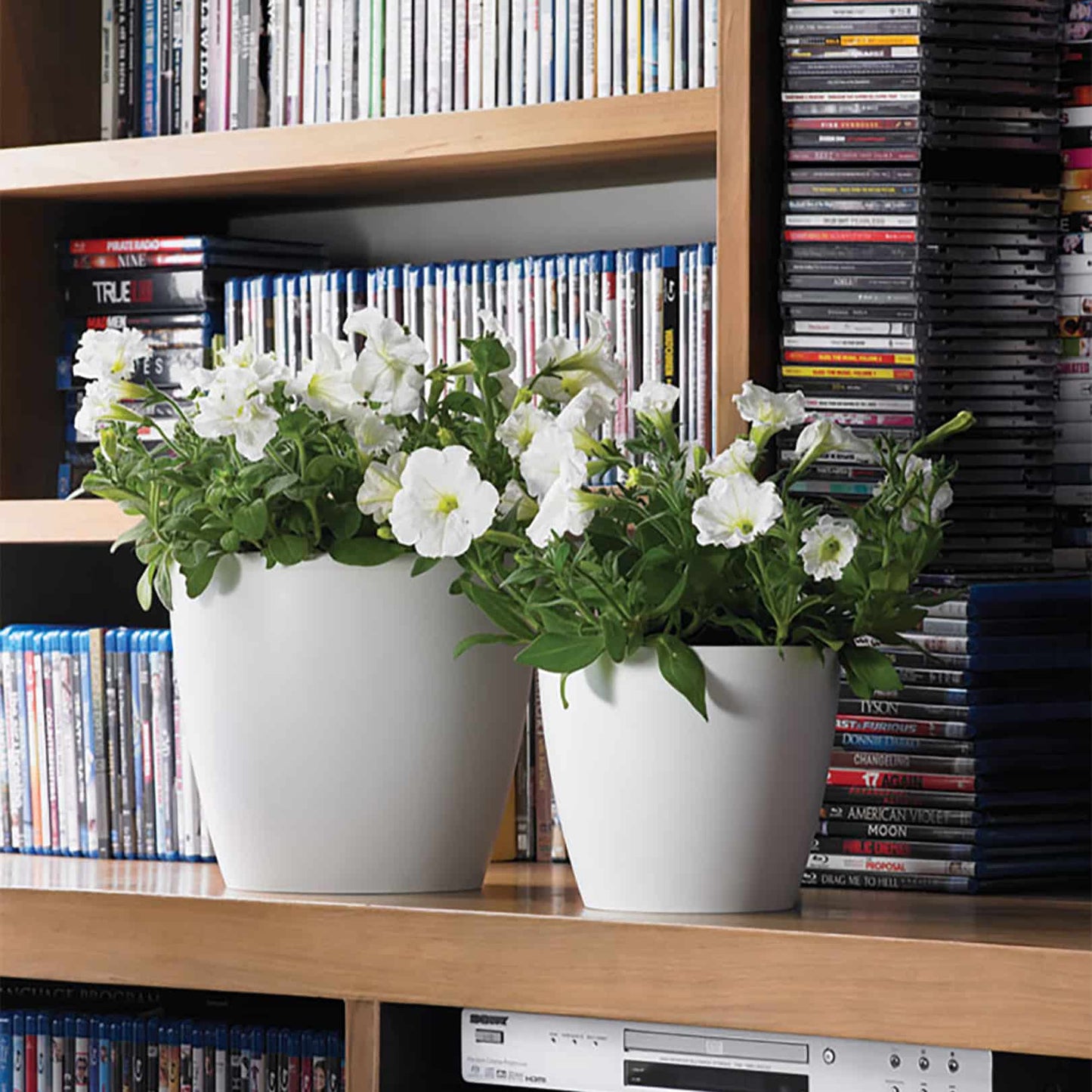 Eva Modern Houseplant Pot (No Drain Holes) Pack of 4: White / 6.3" W