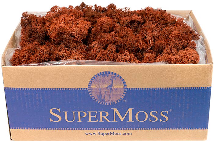 Reindeer Moss Preserved 3lb Bulk Box: Apple