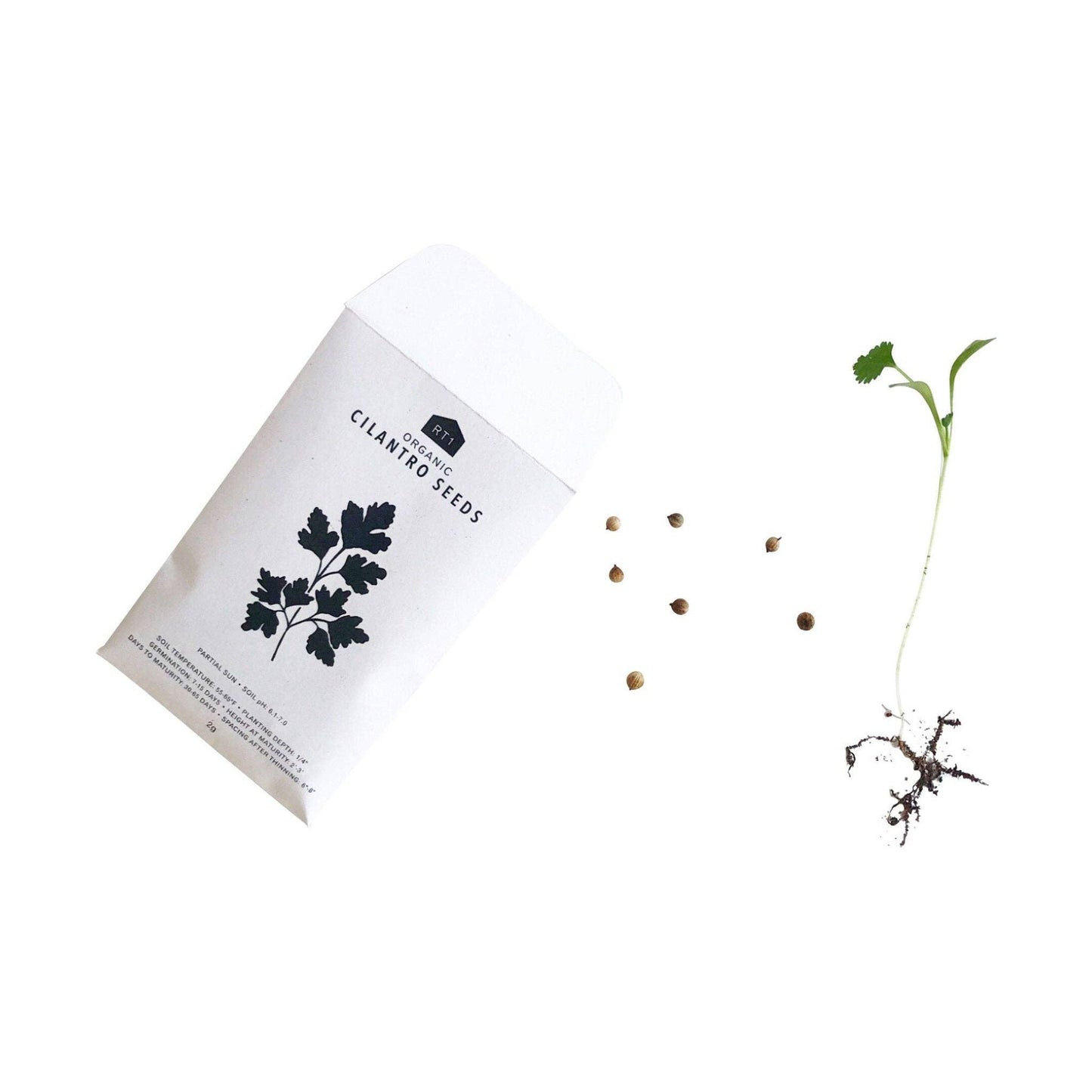 CULINARY HERB I SET - PACK OF 5