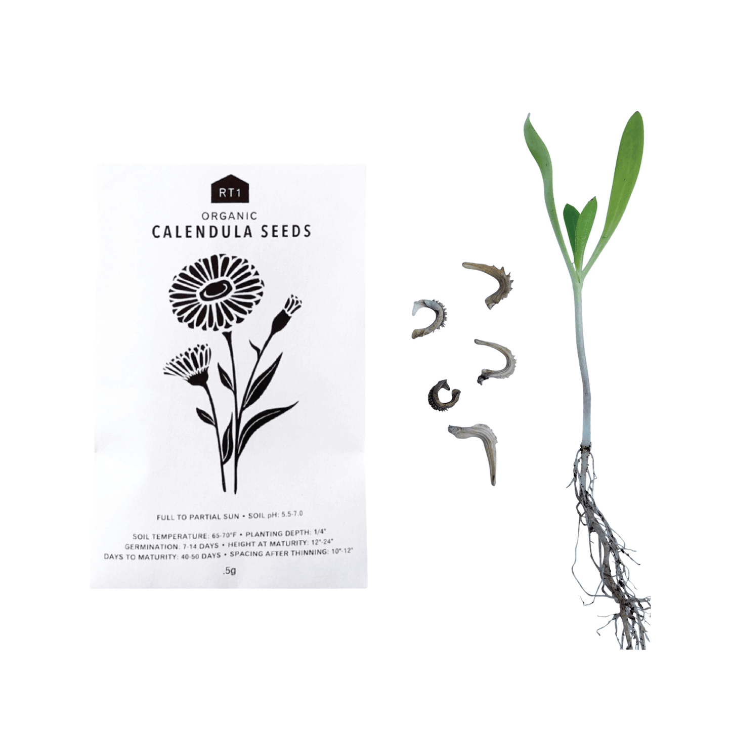 EDIBLE FLOWER SET - PACK OF 5
