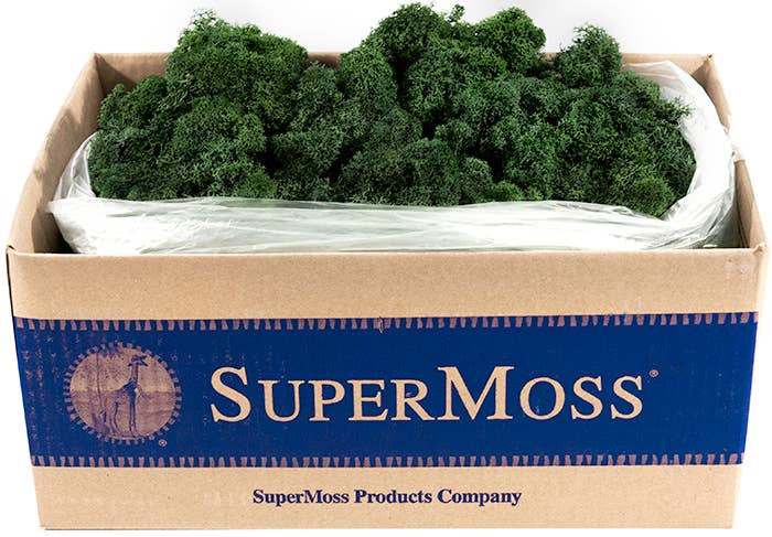 Reindeer Moss Preserved 3lb Bulk Box: Apple