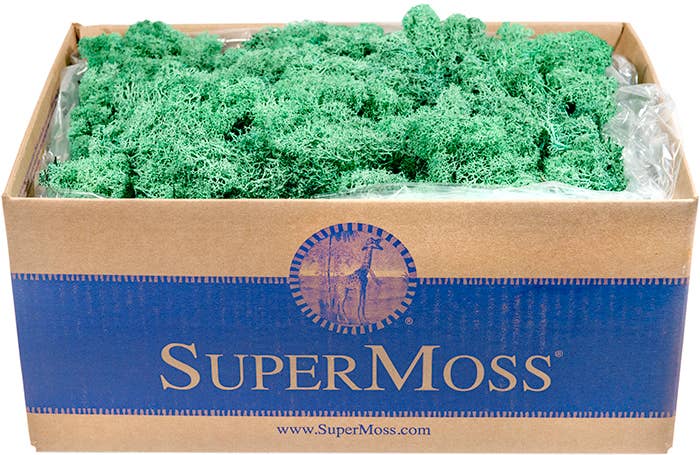 Reindeer Moss Preserved 3lb Bulk Box: Apple