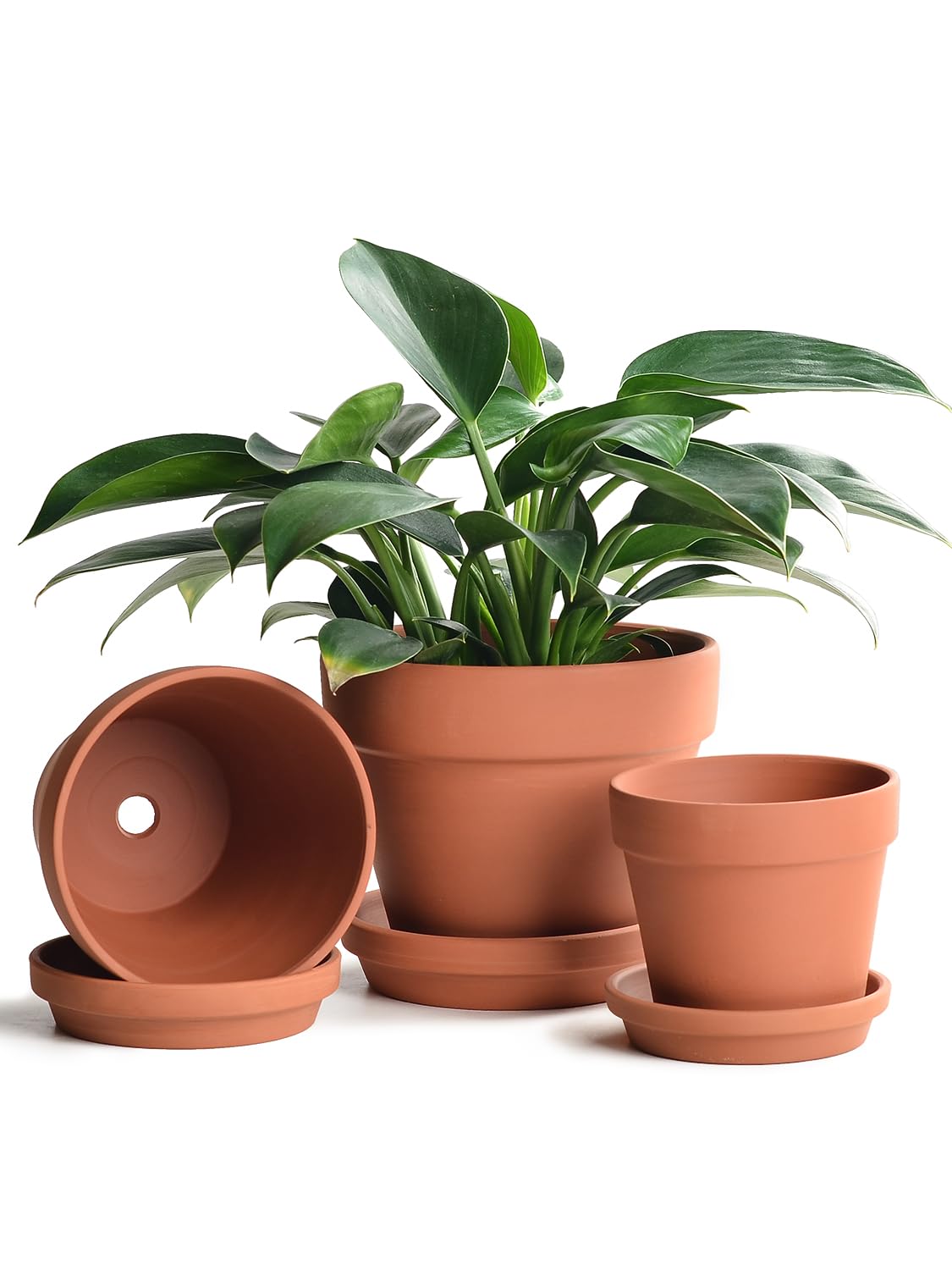 Terra Cotta Pot and Saucer 5"