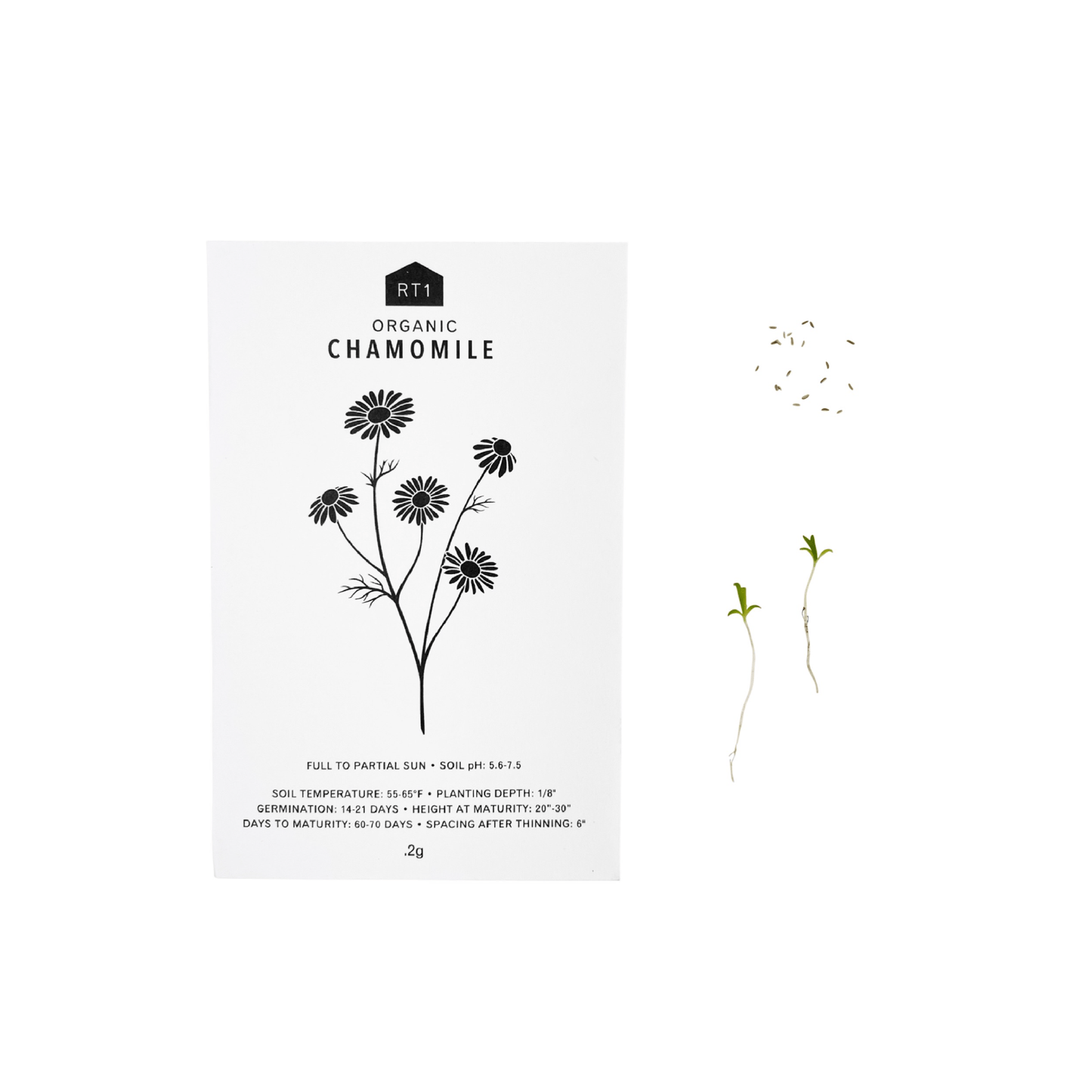 MEDICINAL HERB SET - PACK OF 5