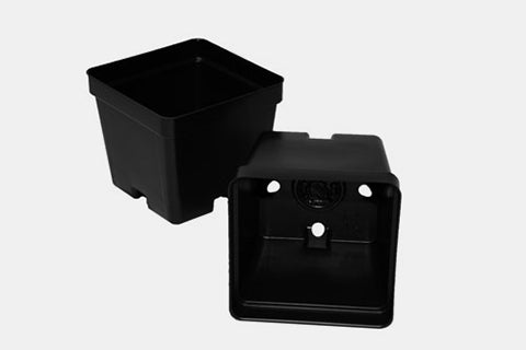 Happy Harvest Supply Propagation Pot (5")