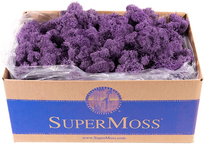 Reindeer Moss Preserved 3lb Bulk Box: Apple