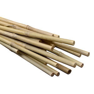 DL Natural Bamboo 5' Stakes 10-12mm (250pcs/Bale)