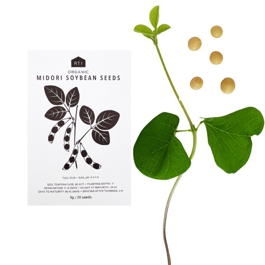 JAPANESE SPRING VEG SET - PACK OF 5
