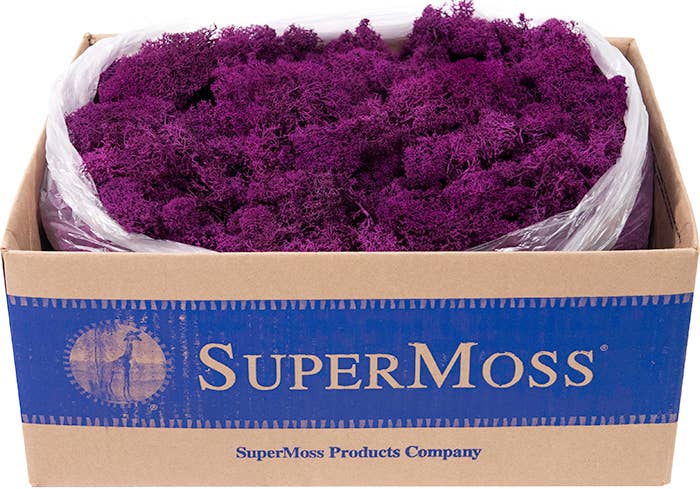 Reindeer Moss Preserved 3lb Bulk Box: Apple