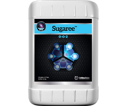 Cutting Edge Sugaree (6G)