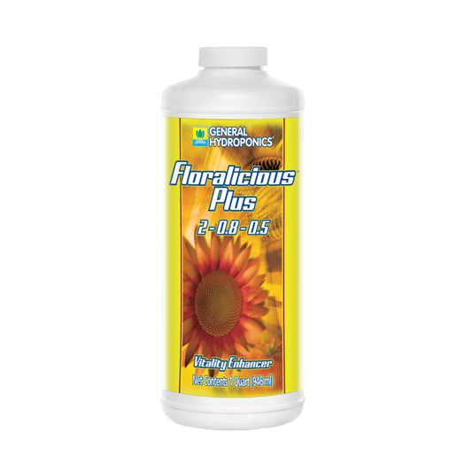GH Floralicious Plus (Qt)