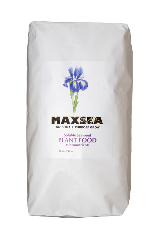 Maxsea 16-16-16 (50LB)