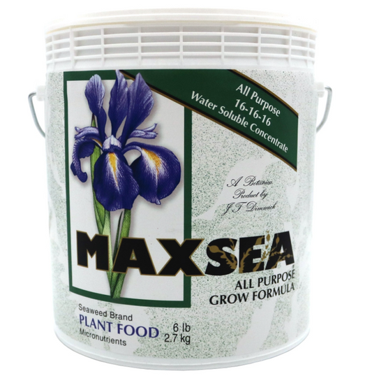 Maxsea 16-16-16 (6lb)