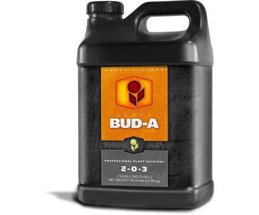 Heavy 16 Bud A (10L)