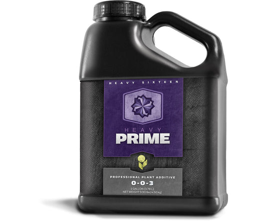Heavy 16 Prime (4L)