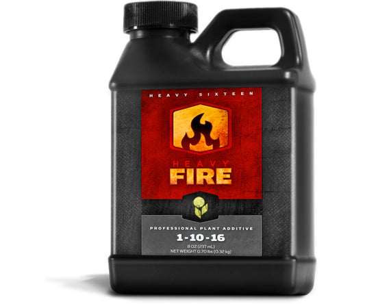 Heavy 16 Fire (500ml)