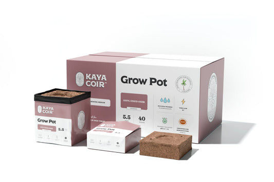 Kaya 5.5" Grow Pot