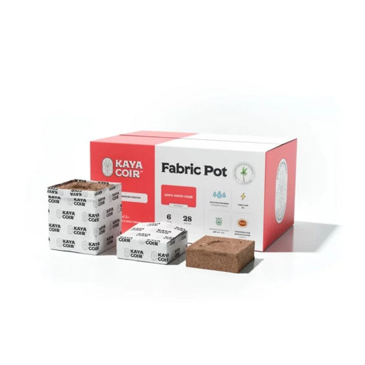 Kaya 6" Fabric Pot