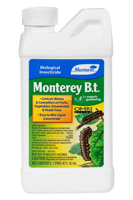 Monterey BT (Pt)