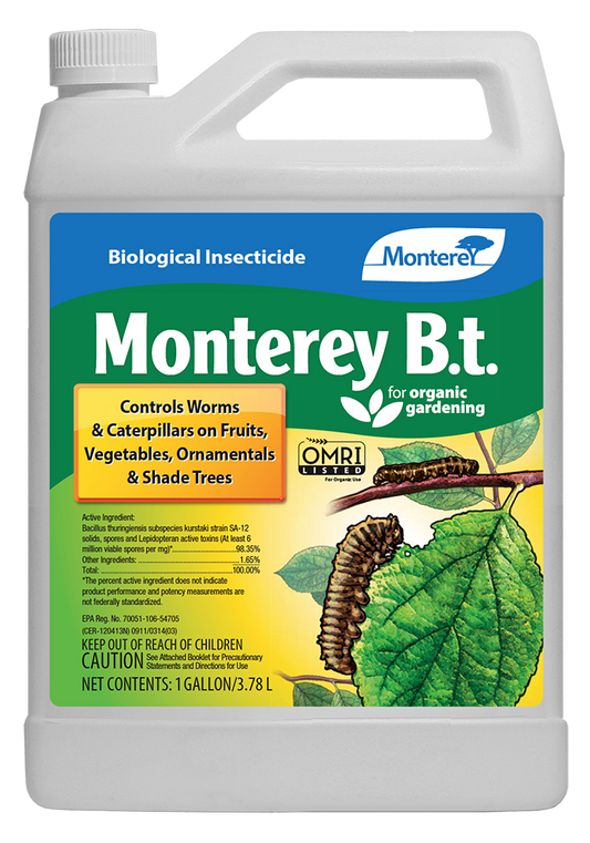 Monterey BT (G)