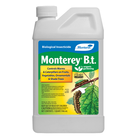 Monterey BT (Qt)