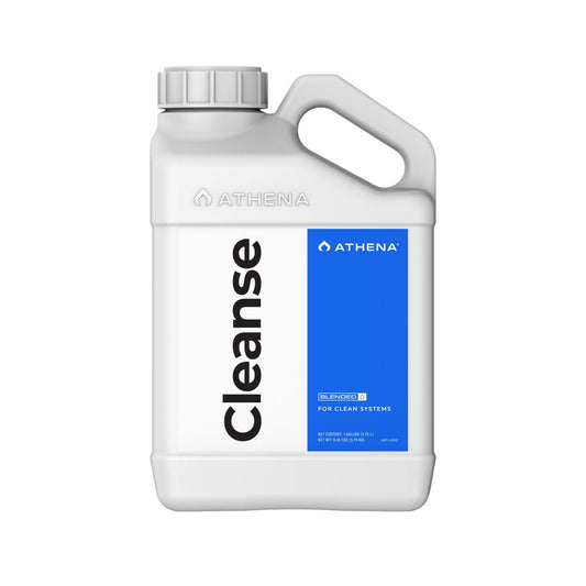 Athena Cleanse (Gal)